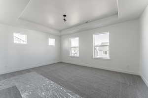 Unfurnished room featuring carpet flooring, a tray ceiling, and plenty of natural light