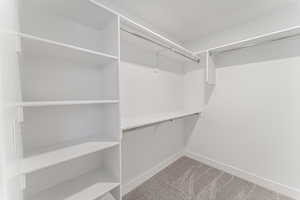 Walk in closet with carpet floors