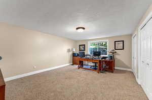 Day light Bedroom with Carpet