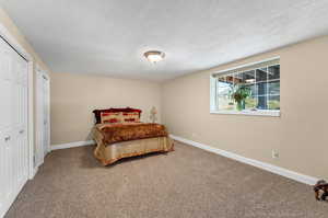 Day light Bedroom with Carpet