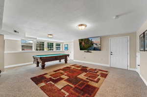 Daylight Basement Family Room