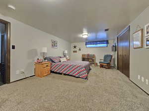 Basement Family Room