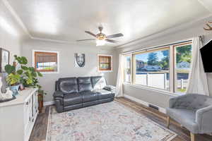 Living room featuring ceiling fan, plenty of natural light, and dark wood-type flooring