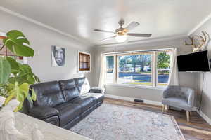 Living room with ceiling fan, hardwood / wood-style floors, and crown molding