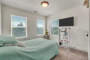 Bedroom with multiple windows and carpet