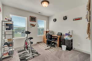 Carpeted office featuring a healthy amount of sunlight