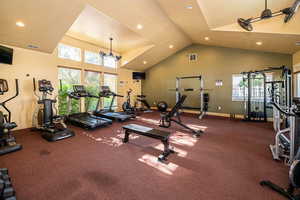 Workout area with carpet and high vaulted ceiling