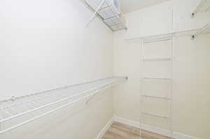 Spacious closet with wood-type flooring