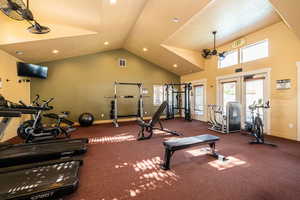 Gym featuring carpet, french doors, and high vaulted ceiling