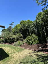 Backyard Much beds and green wall