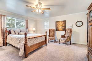 Carpeted bedroom featuring ornamental molding and ceiling fan