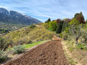 View of mountain feature