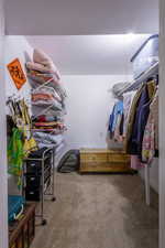 Spacious closet featuring carpet floors