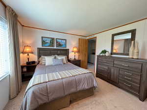 Bedroom with crown molding, carpet, and a textured ceiling