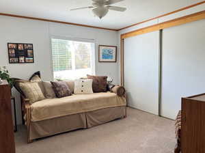 Carpeted bedroom with a textured ceiling, ceiling fan, and ornamental molding