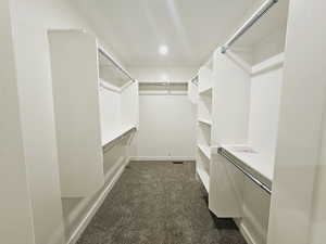 Spacious closet with dark carpet