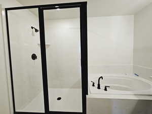 Bathroom with separate shower and tub