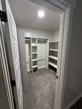 Spacious closet with dark colored carpet