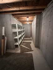 View of unfinished basement