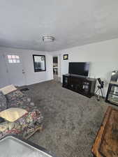 Carpeted living room with a textured ceiling