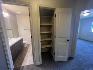 Closet with sink