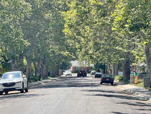 Tree Lined Street!