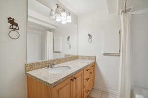 Lower level full bathroom