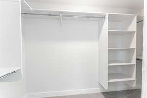 Spacious closet featuring carpet flooring