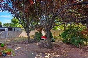 Mature trees offer plenty of shade