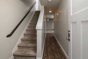 Stairway with dark hardwood / wood-style flooring