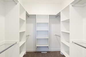 Spacious closet with dark colored carpet