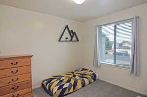 Bedroom with carpet floors