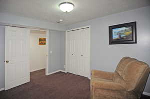 Sitting room featuring a textured ceiling and dark colored carpet