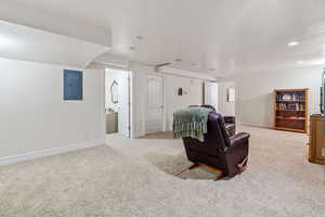 Basement Living room with carpet flooring and electric panel