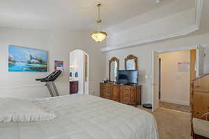 Carpeted bedroom with a tray ceiling