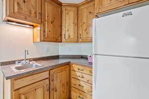 Basement Kitchen featuring white fridge and sink