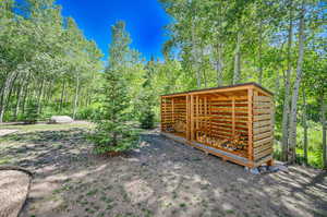 View of yard with an outbuilding