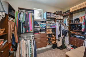 Walk in closet with carpet floors