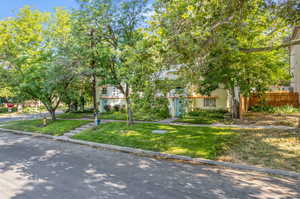 Obstructed view of property with a front lawn