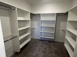 Walk in closet featuring dark colored carpet