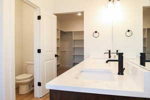 Bathroom featuring wood-type flooring, vanity, and toilet