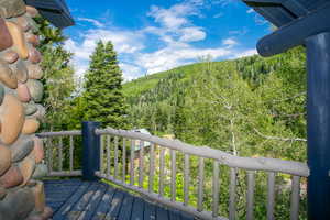 View of wooden terrace