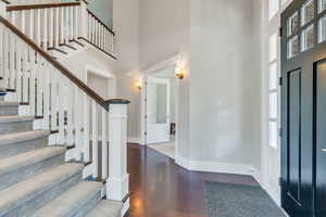 Foyer with dark hardwood / wood-style floors, a towering ceiling, and a wealth of natural light