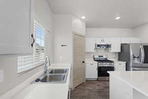 Kitchen with white cabinetry, stainless steel appliances, dark hardwood / wood-style flooring, and sink