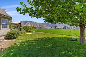 View of yard with a mountain view and a rural view