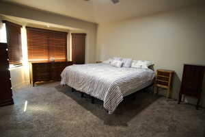 Sweeping Primary Bedroom with EnSuite, Vaulted Ceiling and Bay Window - North West Corner Of Level 1