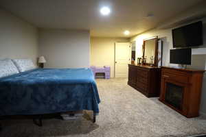 Expansive Basement Bedroom