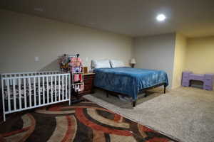 Expansive Basement Bedroom