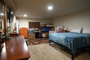 Expansive Basement Bedroom