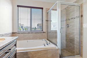 Bathroom with separate shower and tub and vanity